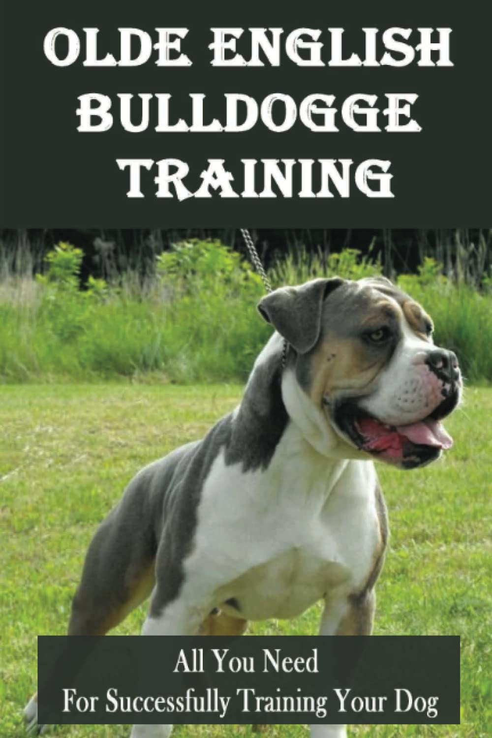 Olde English Bulldogge Training: All You Need For Successfully Training Your Dog
