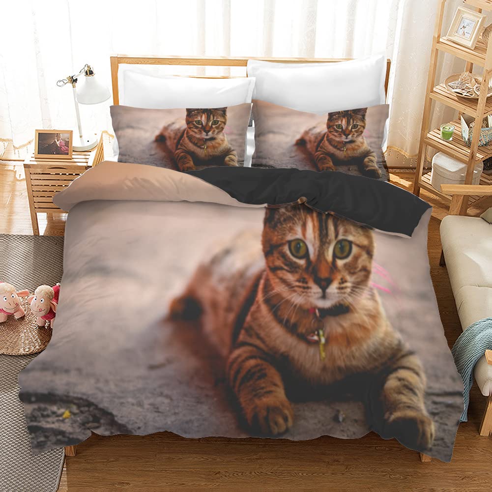 Housse de couette 160x200 chat brun en microfibres avec taies