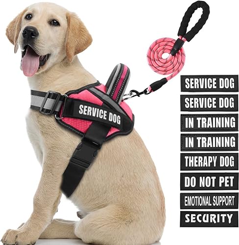 Juego de arnés de chaleco y correa para perro, arnés de entrenamiento para perro con 10 parches para perros, correa reflectante para perro con mango