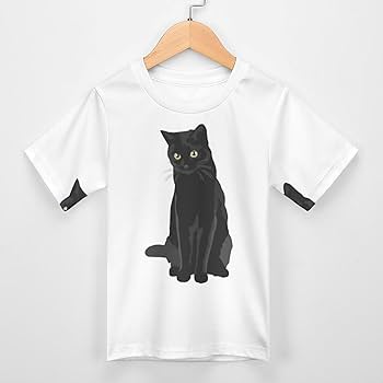チェシャ猫　長袖トレーナー　半袖Tシャツ　２点セット チェシャ猫 長袖トレーナー 半袖Tシャツ 2点セット ディズニー
