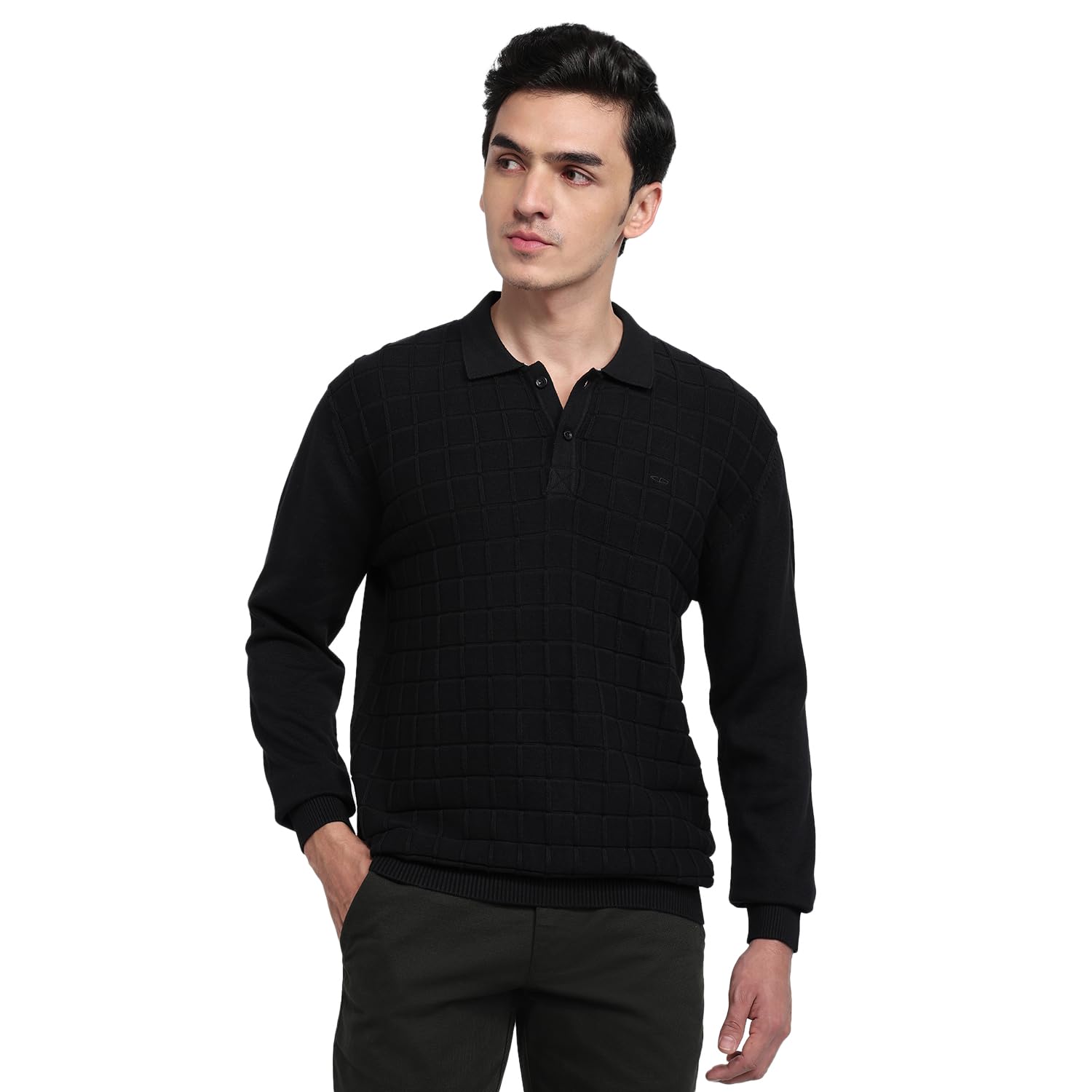 colorplus Men Regular Fit Structure Pattern Pure Cotton Full Sleeve V Neck Casual Sweater Black-picture-33