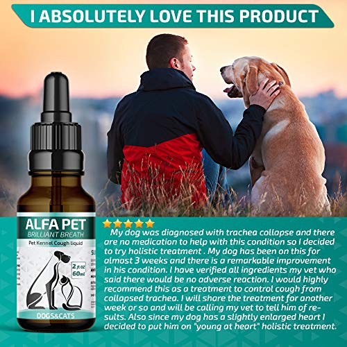 Kennel Cough Medicine for Dogs, Organic Dog Cough Medicine for Colds and Allergies - Natural Kennel Cough Treatment with Mullein Leaf and Elderberry - Thumbnail 6