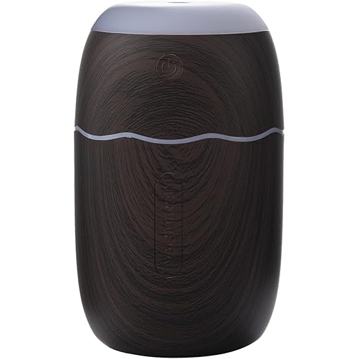 Compact Mist Purifier Nano Diffuser LED Lamp Personal Air Hu