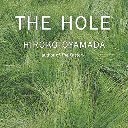 The Hole by Hiroko Oyamada episode artwork