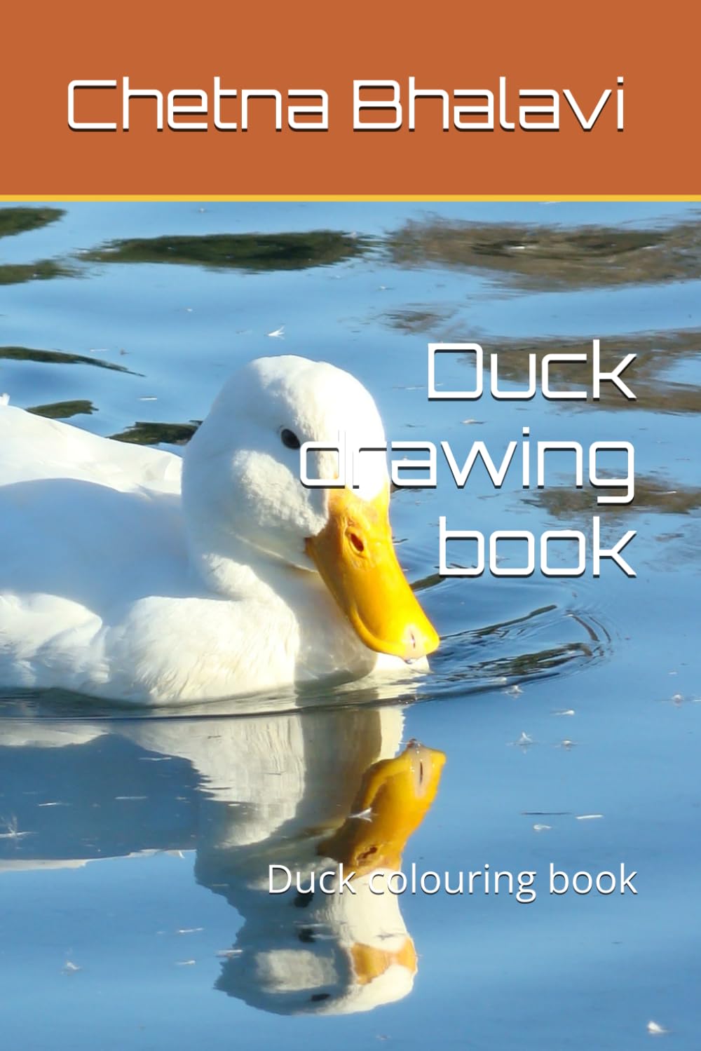 Livre de coloriage canard à offrir pour un anniversaire créatif