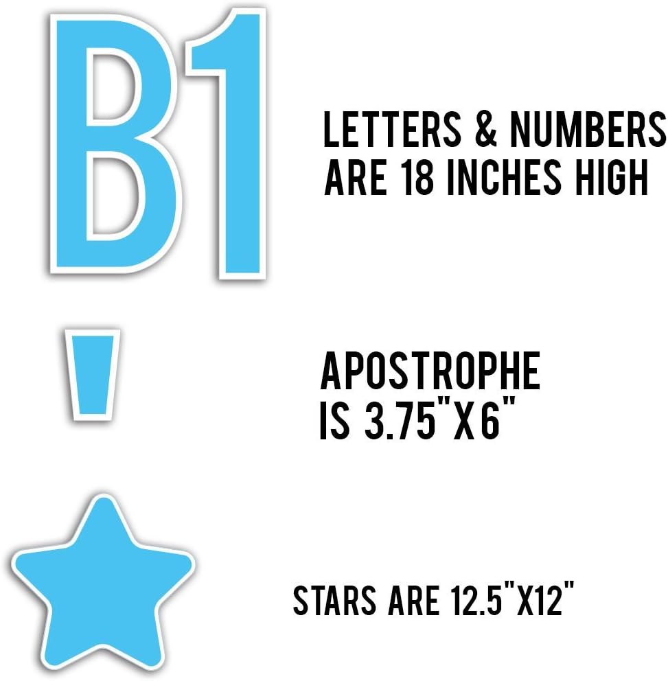 VictoryStore Custom Yard Letters: It's A Boy Yard Letters Custom Name and Weight Letters 18 inches high Letters 2 EZ Stakes & Short Stakes Included