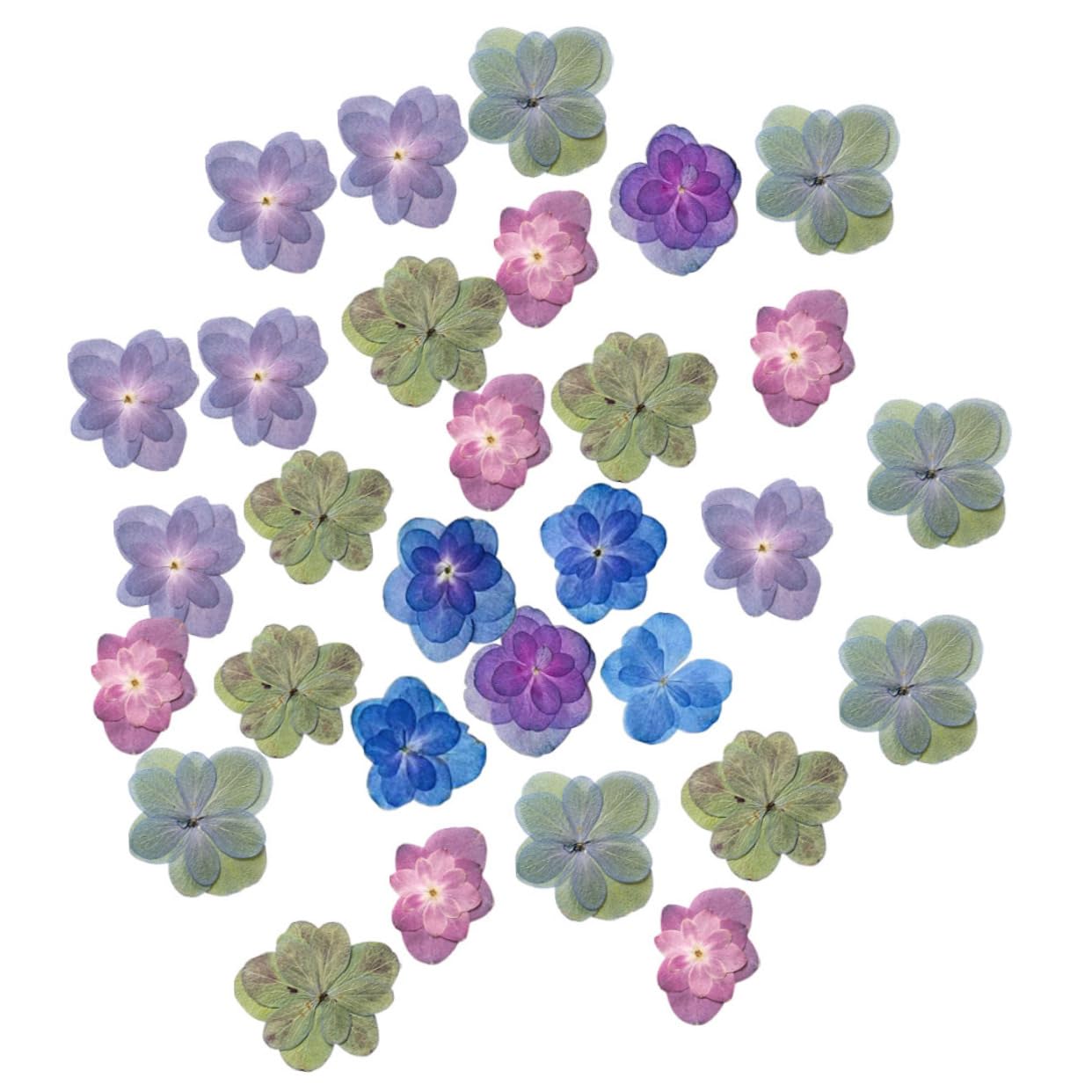 MAGICLULU 2 Ensembles Fleurs Séchées pour La Résine Mariage Décor Bouquet De Fleurs Séchées Pressé Sec Petites Fleurs pour La Résine 30 Pièces * 2
