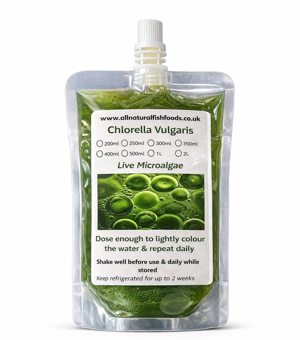 1 Litre Live Chlorella Vulgaris Microalgae Culture - Green Water food for Fish Fry, Dahpnia, Moina, Brine Shrimp, Shellfish and more