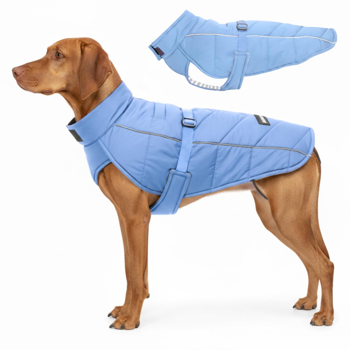 DJANGO Whistler Winter Dog Coat—Premium Warm and Insulated Dog Jacket with Windproof and Waterproof Protection—Adjustable, Reflective Piping, and Easy-Access Leash Portal (Dusk Blue, X-Large)