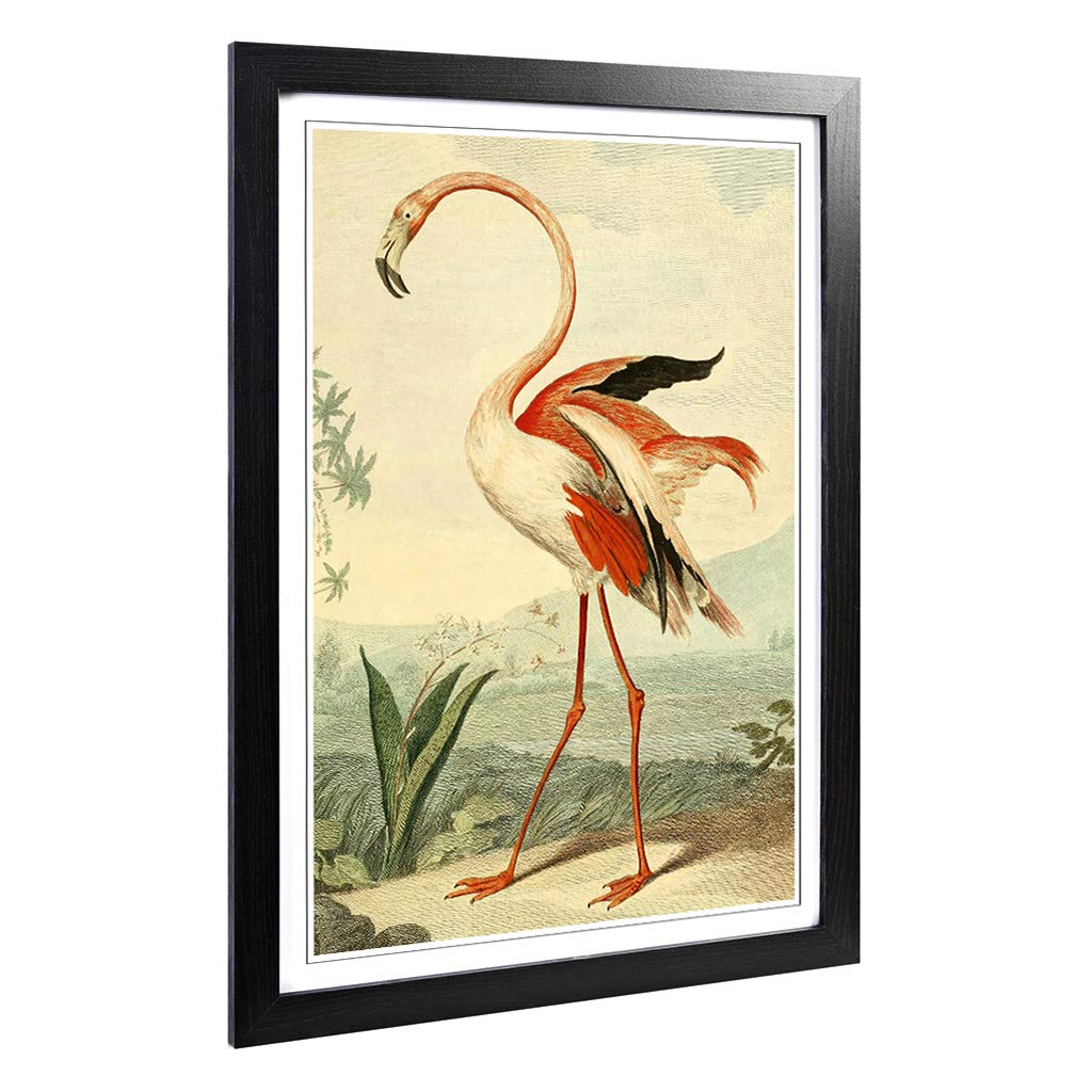 Big Box Art Framed Print of Vintage Charles R Ryley Flamingo Design | Wall Art Picture | Home Decor for Kitchen, Living Room, Bedroom, Hallway, Black, A2 / 24.5x18 Inch / 62x45cm