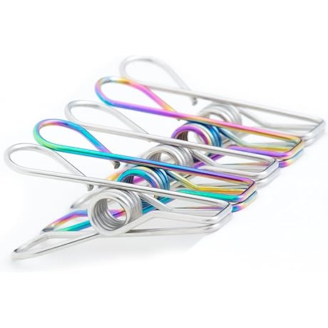 Rainbow Stainless Steel Clothes Pegs 20-Pack