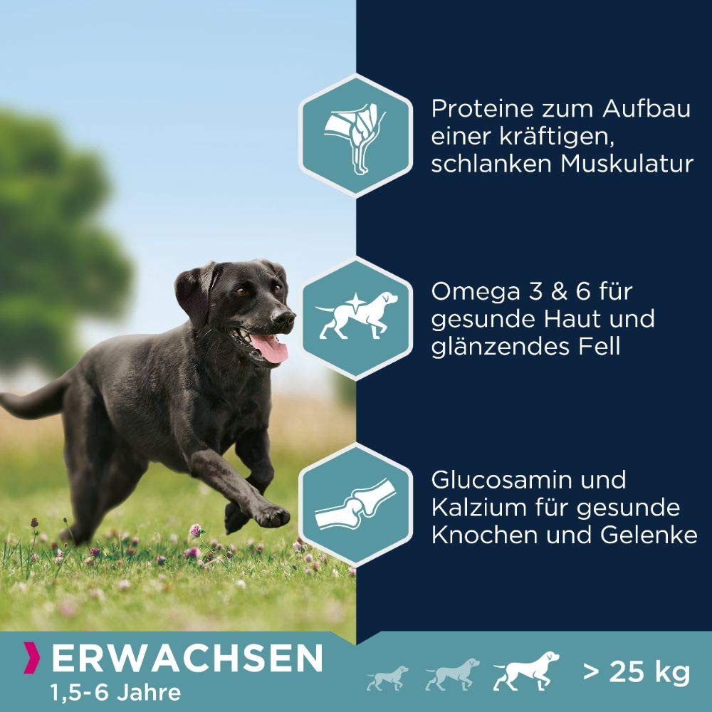 Eukanuba Hundefutter mit frischem Huhn für große Rassen, Premium Trockenfutter für ausgewachsene Hunde, 15 kg