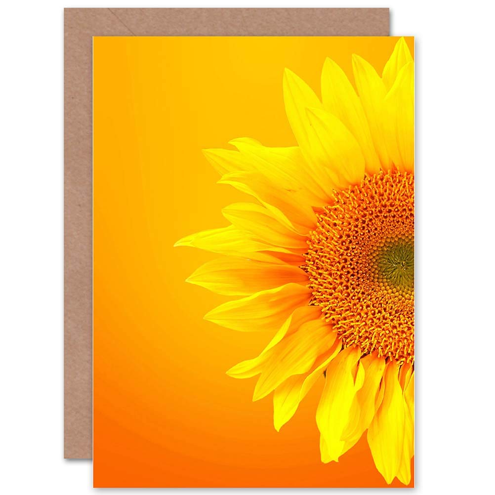 Wee Blue Coo PHOTOGRAPH MACRO SUNFLOWER PETALS BLANK GREETINGS BIRTHDAY CARD