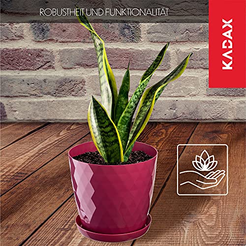 KADAX Blumentopf mit Untersetzer aus Kunststoff Ø25cm, Rosa, Pflanzkübel für Innen- & Außenbereich… – Ansicht 3