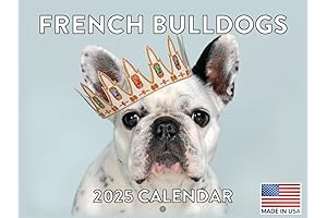 French Bulldog Monthly Wall Calendar 2025 Frenchie Dog Gifts Presents & Collectibles 12 Months