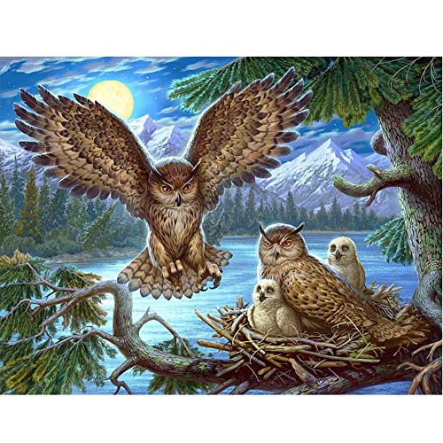 Greatmin DIY 5D Pintura de Diamantes, Diamantes de imitación de Cristal Bordado Pinturas Arte Manualidades para el hogar decoración de Pared Gatos y Perros y Flores 11.8 x 15.7 Pulgadas