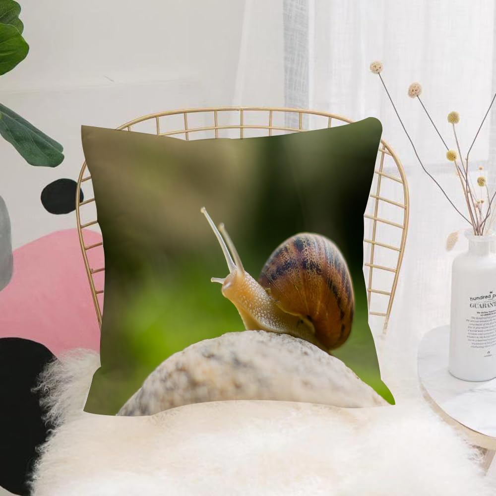 Hyosxw Snail On Rock ,Snail, Brown Shell Snail Perc - A3 Cushion Cover,Throw Pillow Case Home Decorative For Living Room Bedroom Sofa Chair 18X18 Inch,Snail On Rock,Snail, Brown Shell Snail Perched On Stone,Pillowcase 45X45cm