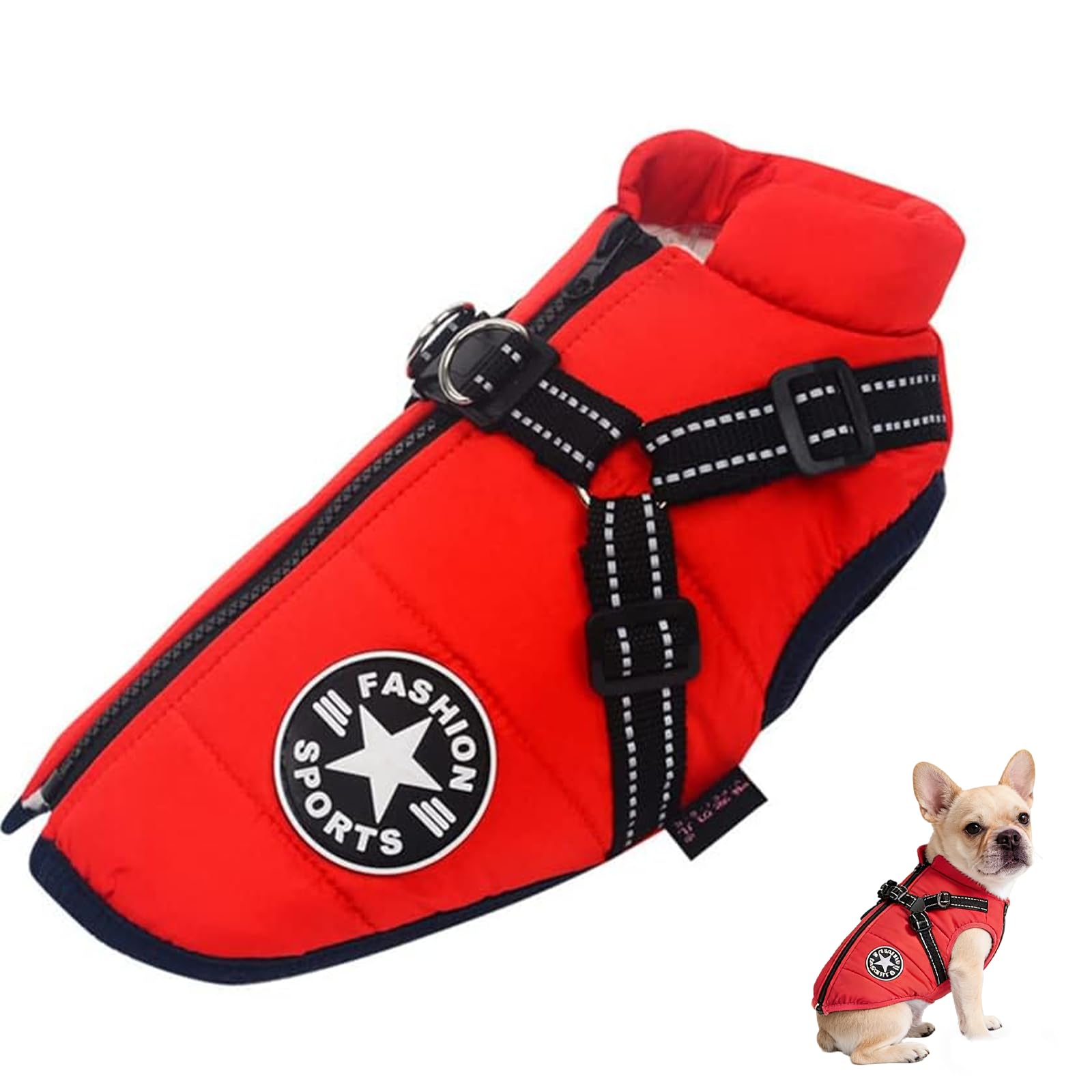 Manteau pour chien avec harnais : finis les frissons sous la pluie