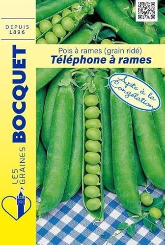 Sachet de graines de Pois Téléphone à rames 200g - 200 g - Pois à grains ridés - LES GRAINES BOCQUET