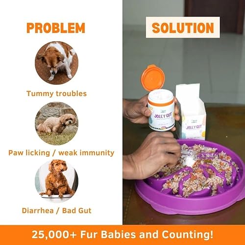 Miniatura 2 de Unleash Wellness Jolly - Suplemento prebiótico y probiótico para perros y gatos, soporte para diarrea y intestinal, digestión mejorada, inmunidad,