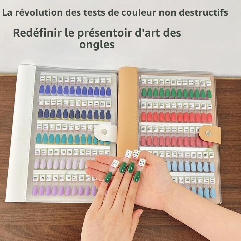 Livre d'échantillons d'ongles magnétique, présentoir de couleurs pour ongles 120/180/240, organisateur de rangement pour ongles magnétiques vierges 2025, avec ongles de remplacement transparents, pas