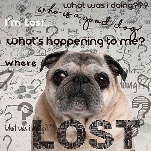 Image of The Blissful Dog Pug Age Well Dog Aromatherapy Roll-On Bottle for Your Dog's Peaceful Ageing