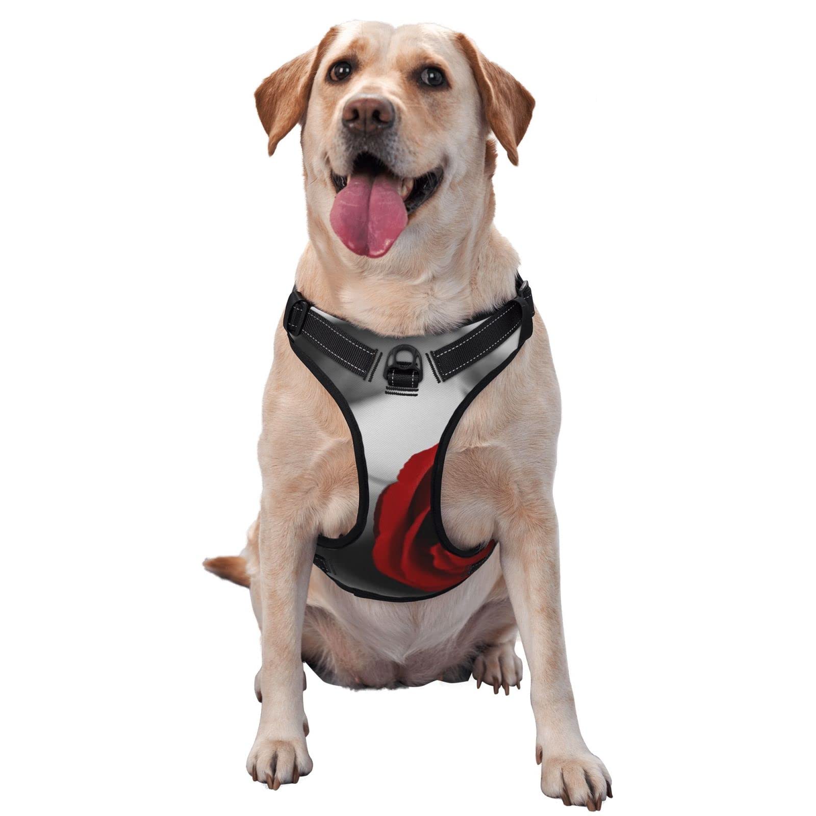Harnais pour chien réfléchissant imprimé rose rouge réglable et confortable