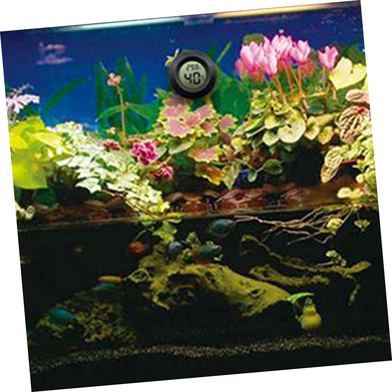 BESPORTBLE 21pezzi Igrometro Termometro Digitale Mini per Terrario Misuratore umidità e Temperatura Compatto per Accessori e Rettili Facile da Trasportare e Resistente