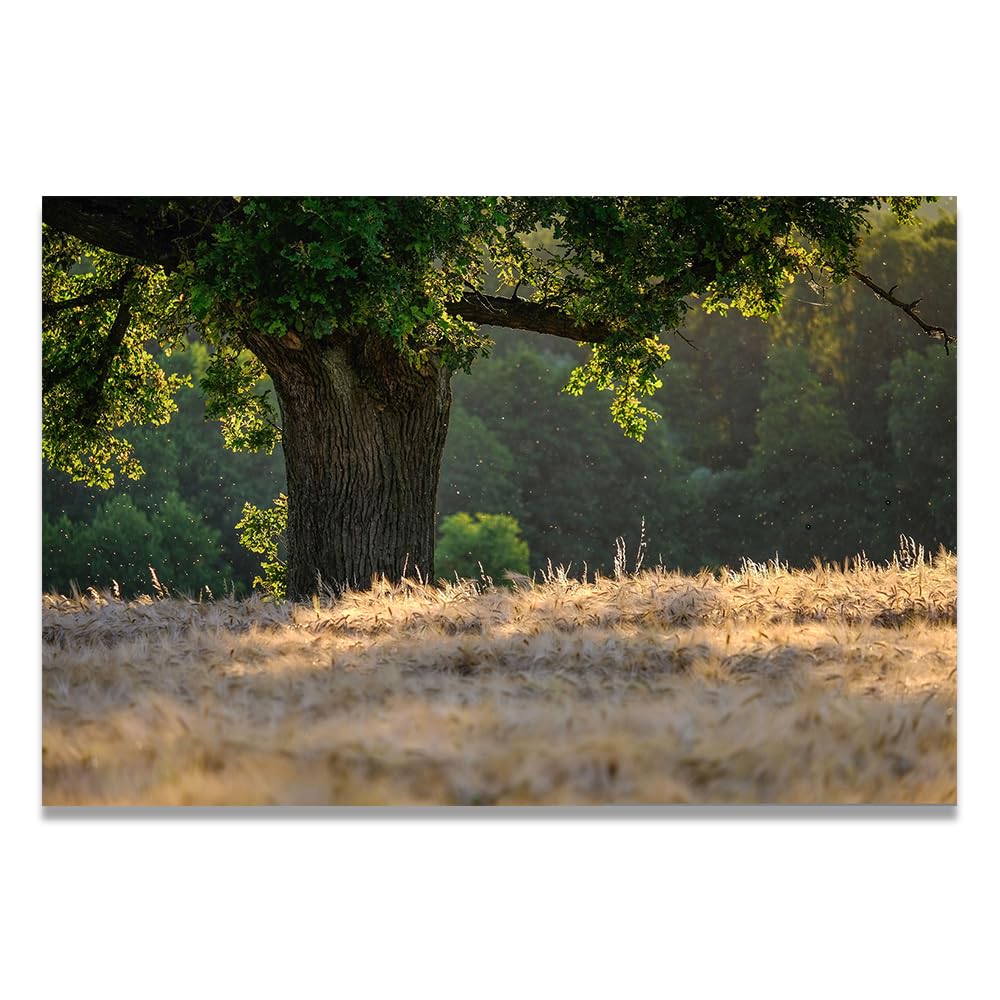 VHdfgTY Sturdy Tree TrunkElegant Mountain Landscape Canvas Wall Art Nature Scenery Home Decor 60x90cm Unframed