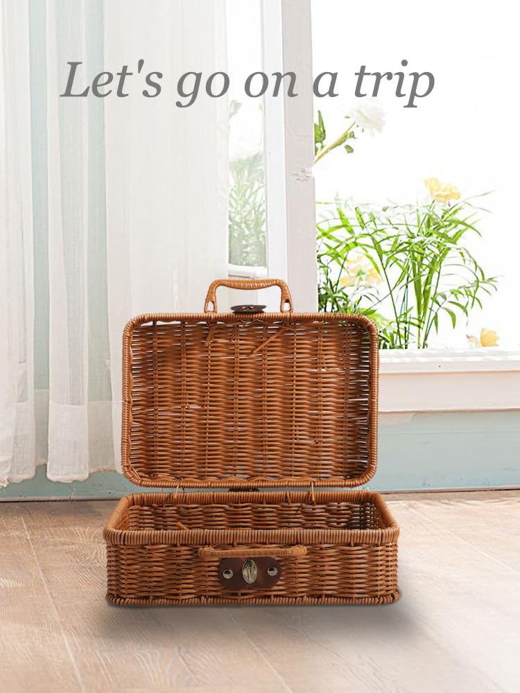 Valise de rangement en osier vieilli (1