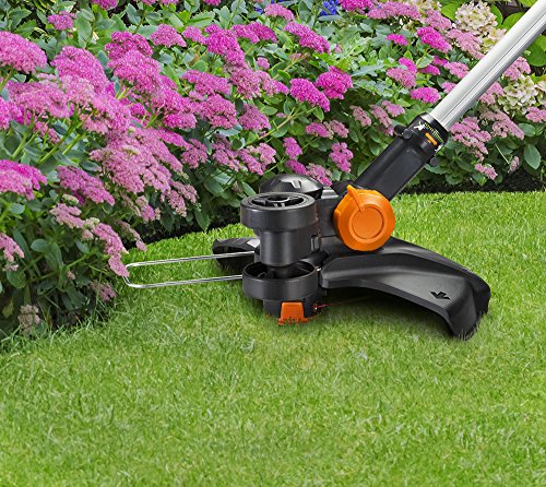 Worx Wg170 Gt Revolution 20V 12 Inch Grass Trimmer/Edger/Mini-Mower (Batteries & Charger Included) #TOP7
