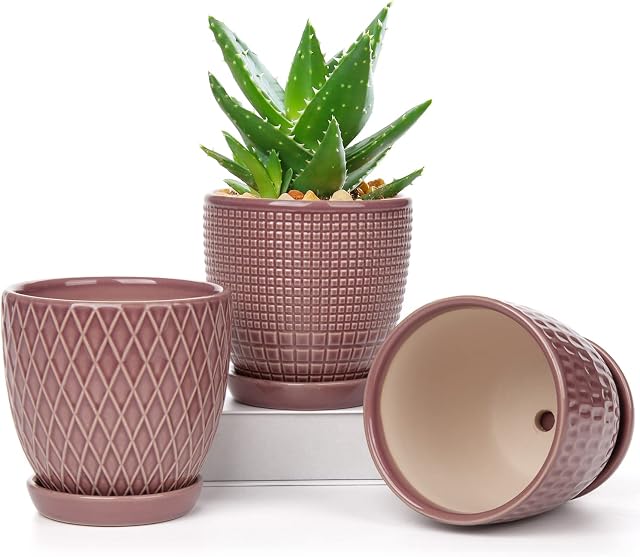 Oairse 3PCS Plant Pots Indoor Ceramic Flower Pots Round Garden Planters with Saucer Tray + Drainage Holes, Succulent Plant Pot/Cactus Plant Pot, 11CM