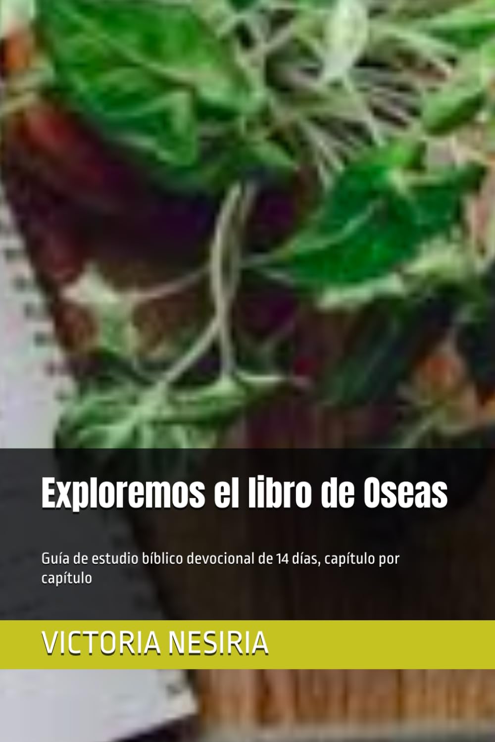 Exploremos el libro de Oseas: Guía de estudio bíblico devocional de 14 días, capítulo por capítulo (Guía de Estudio Bíblico Devocional Diario: Desde Génesis hasta Apocalipsis)