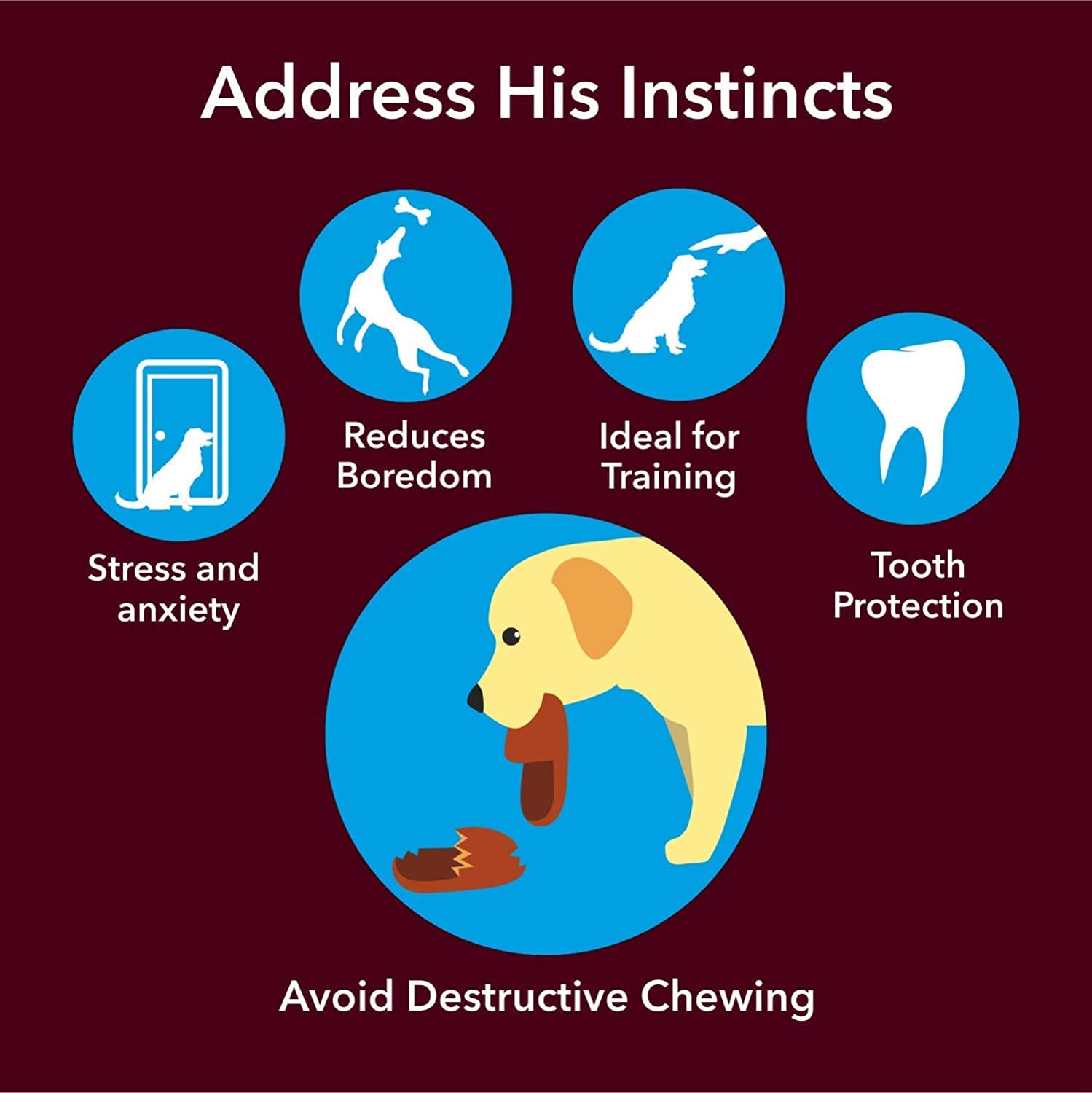 PETHOOD Dog Chew Bone 3 Inch – 1.01 Kg Natural Rawhide Chews for Dogs | Long Lasting Dental Treats for Strong Teeth & Gums | Safe Digestible Bones for All Breeds – Puppies, Adults, Large Dogs 4