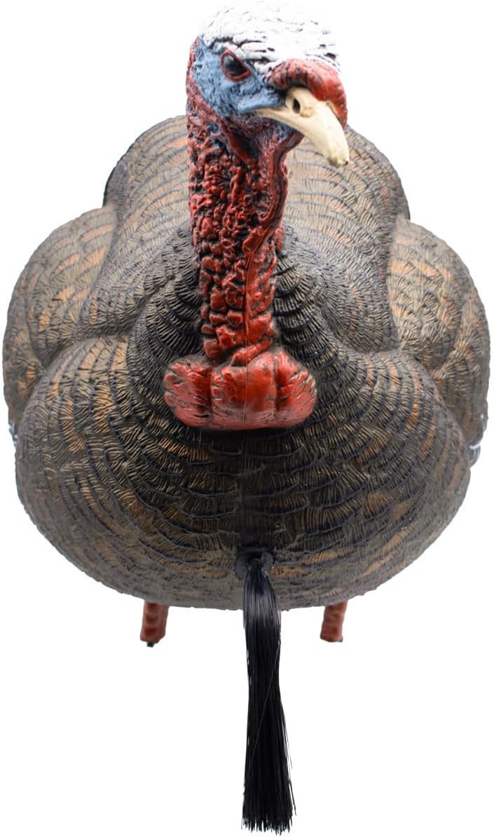 Final Approach Live Jake Turkey Decoy with Flocked Back