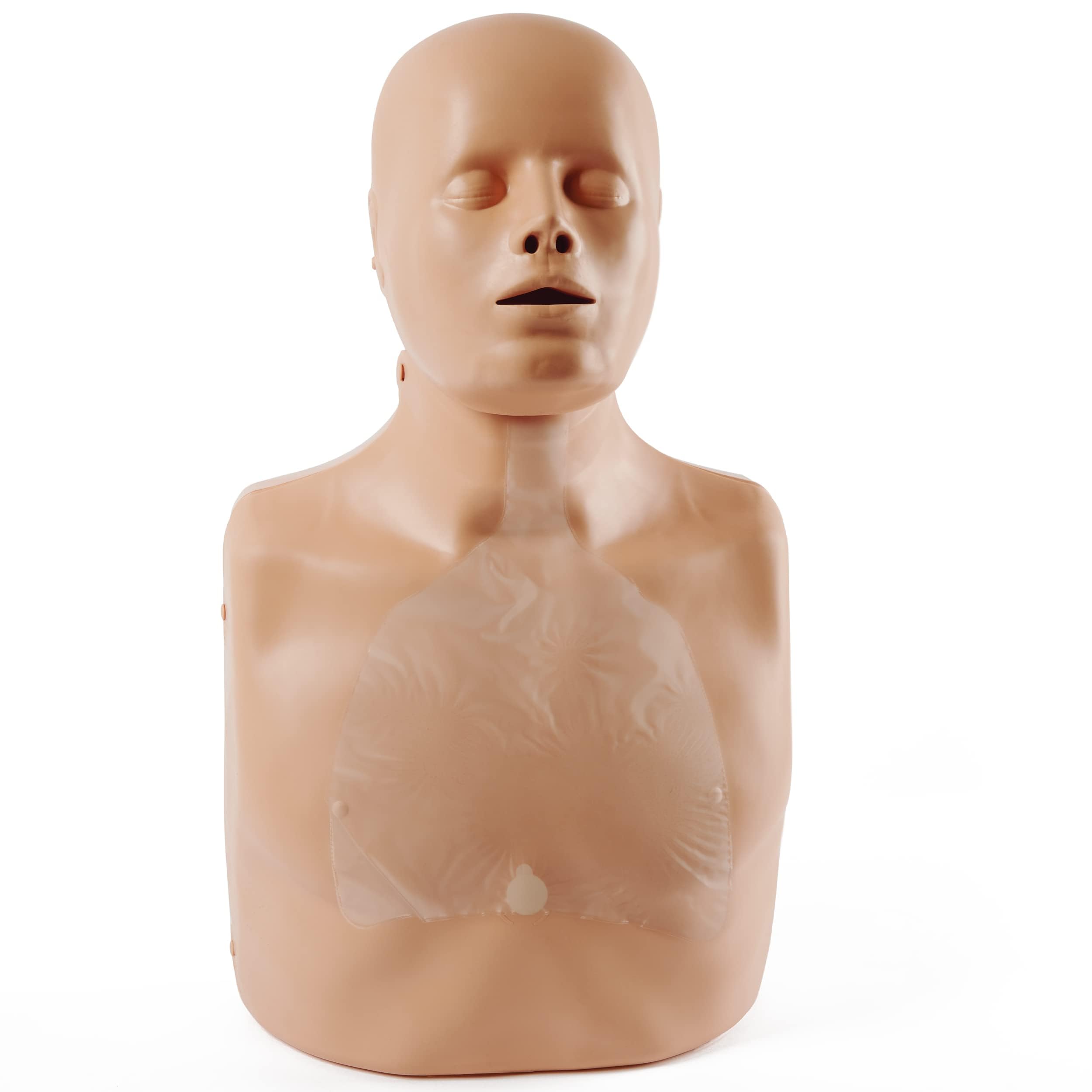 Pulox Bambola di rianimazione Practi-Man Advance – Primo soccorso – Bambola da allenamento con impugnatura Esmarch