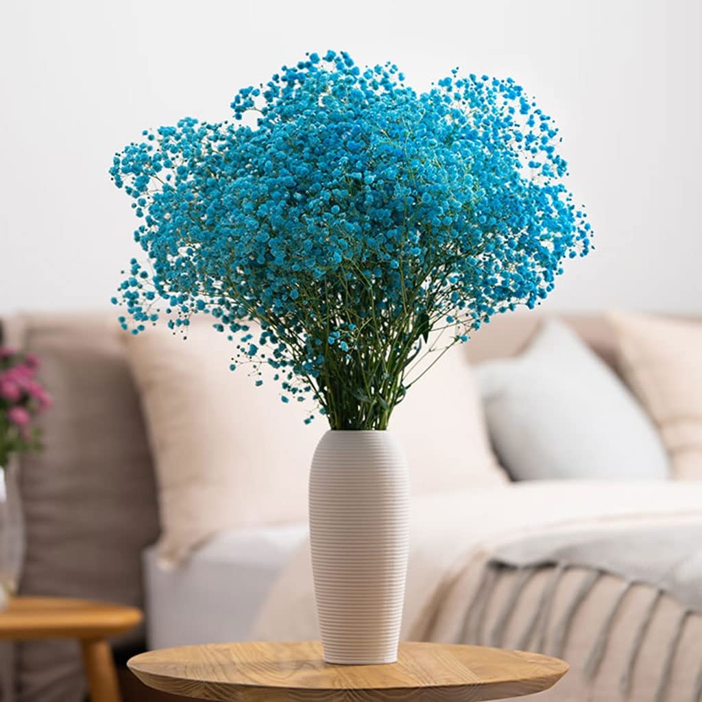 Aioneer Baby'S Breath Dried Flowers With Vase Set,Real Flowers Colorful Home Decoration Flower Arrangement Imitation Flowers