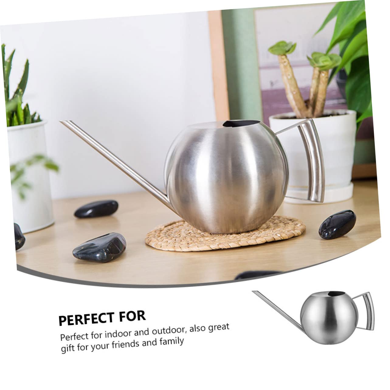 1 Pezzo Annaffiatoio da Inossidabile con Beccuccio per Piante Indoor e Outdoor Strumento Irrigazione Ergonomico e Facile