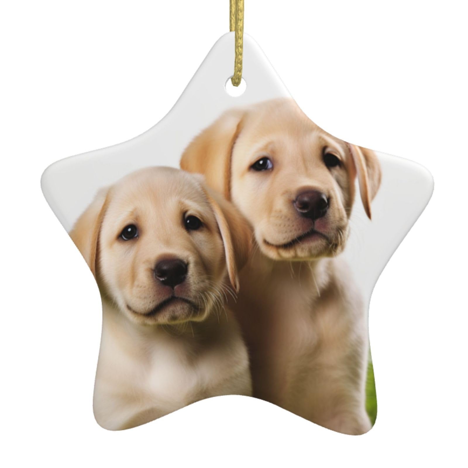 Fodpand Women's White Funny Labrador Puppy Dog Christmas Ornaments 2025, Gift Exchange For Men, Collectible Ceramic Ornament Star Hanging Ornaments For Christmas Tree Decoration