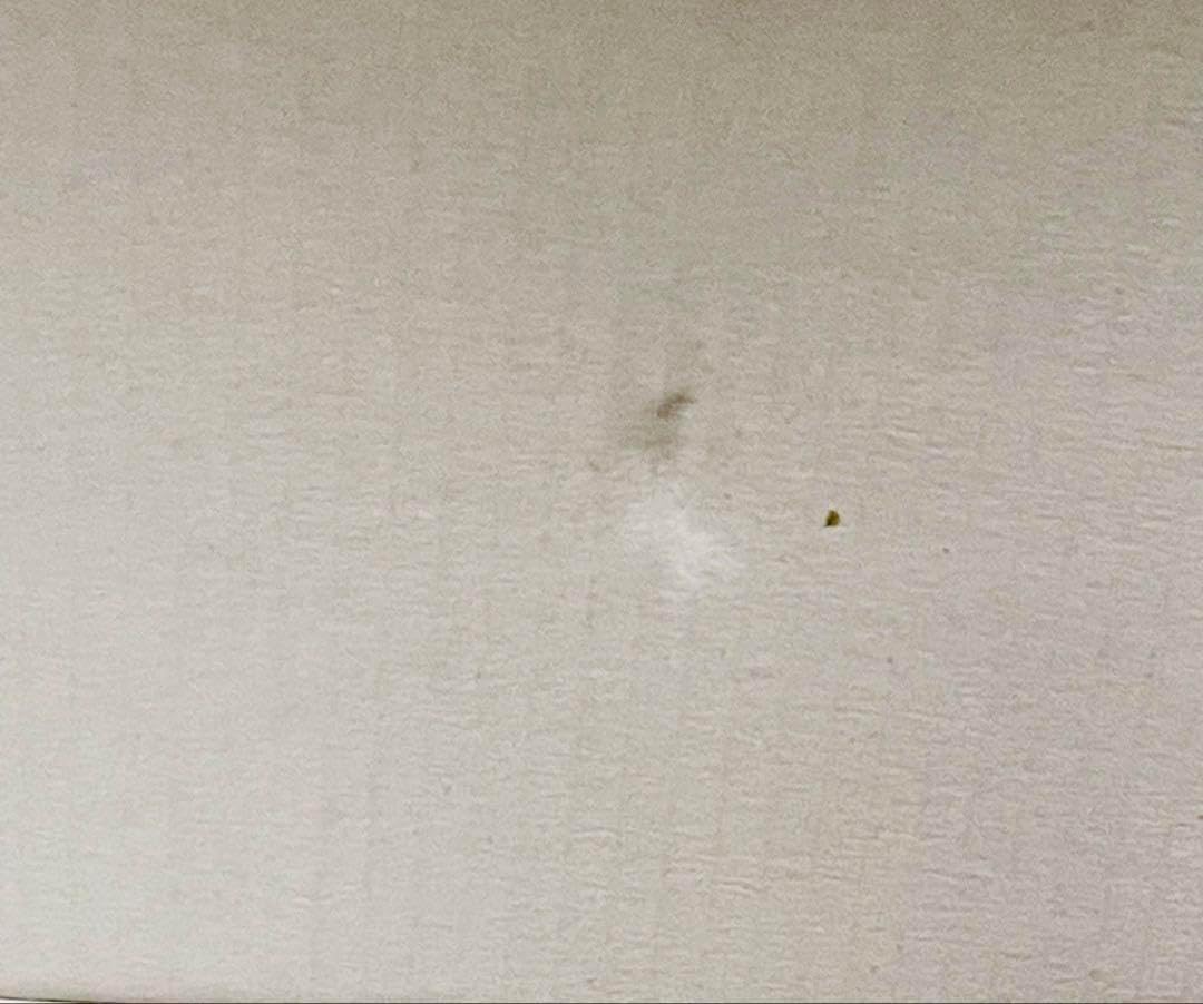 SEO IN GUK MEMBERSHIP FAN KIT ソイングク FC ☆SEO IN GUK