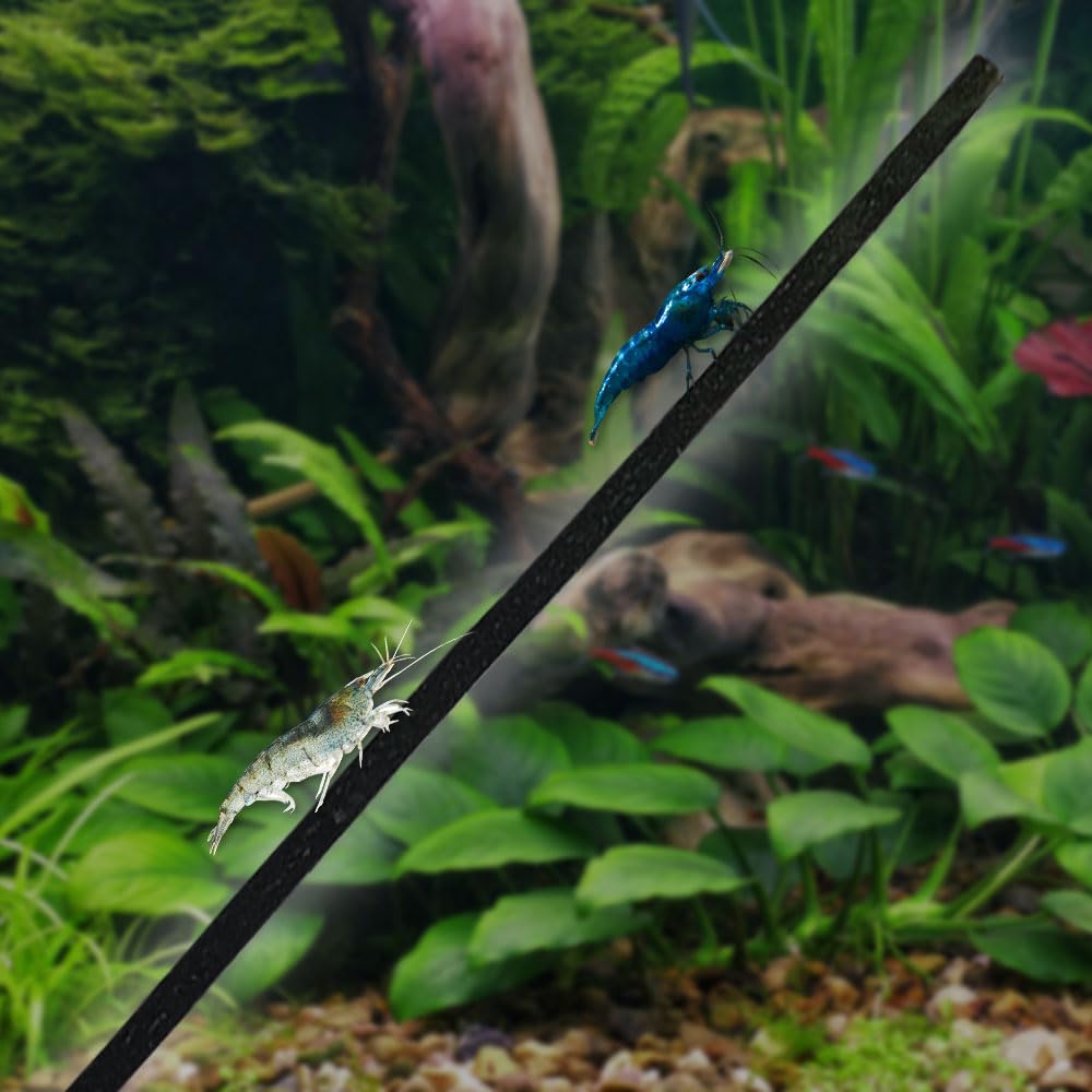 Cobalt Aquatics Shrimp Sticks 8-Count – Organic Food for Dwarf Shrimp & Bottom Feeders - Bee Pollen, Spirulina & Kelp - For Aquariums & Fish Tanks