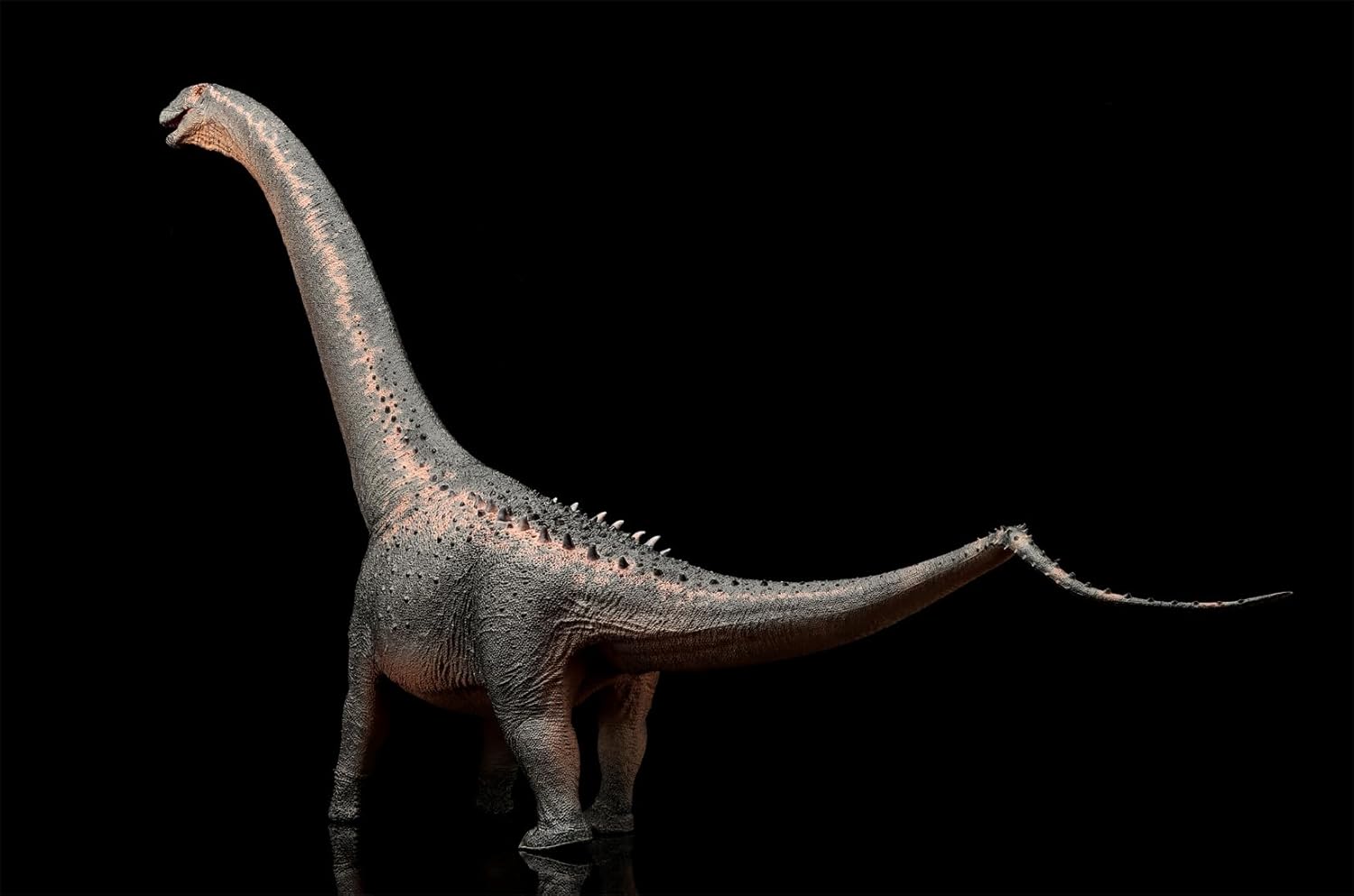 1:35 Scale Argentinosaurus Model Dinosaur Figure Animal Scene Collector Home Decor Gift (Color B)