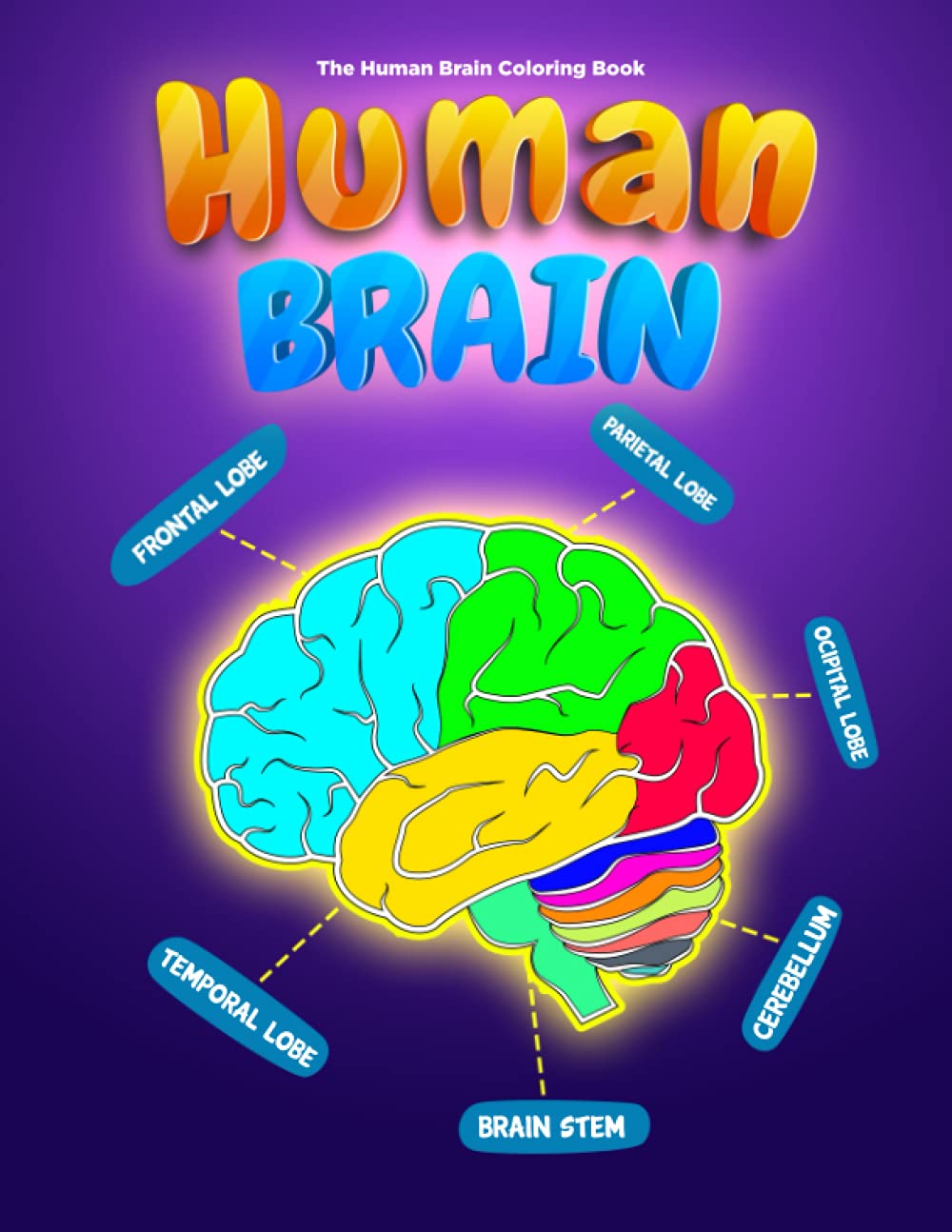 The Human Brain Coloring Book: NEUROANATOMY COLORING AND ACTIVITY BOOK LEARNING HUMAN BRAIN ANATOMY FOR KIDS