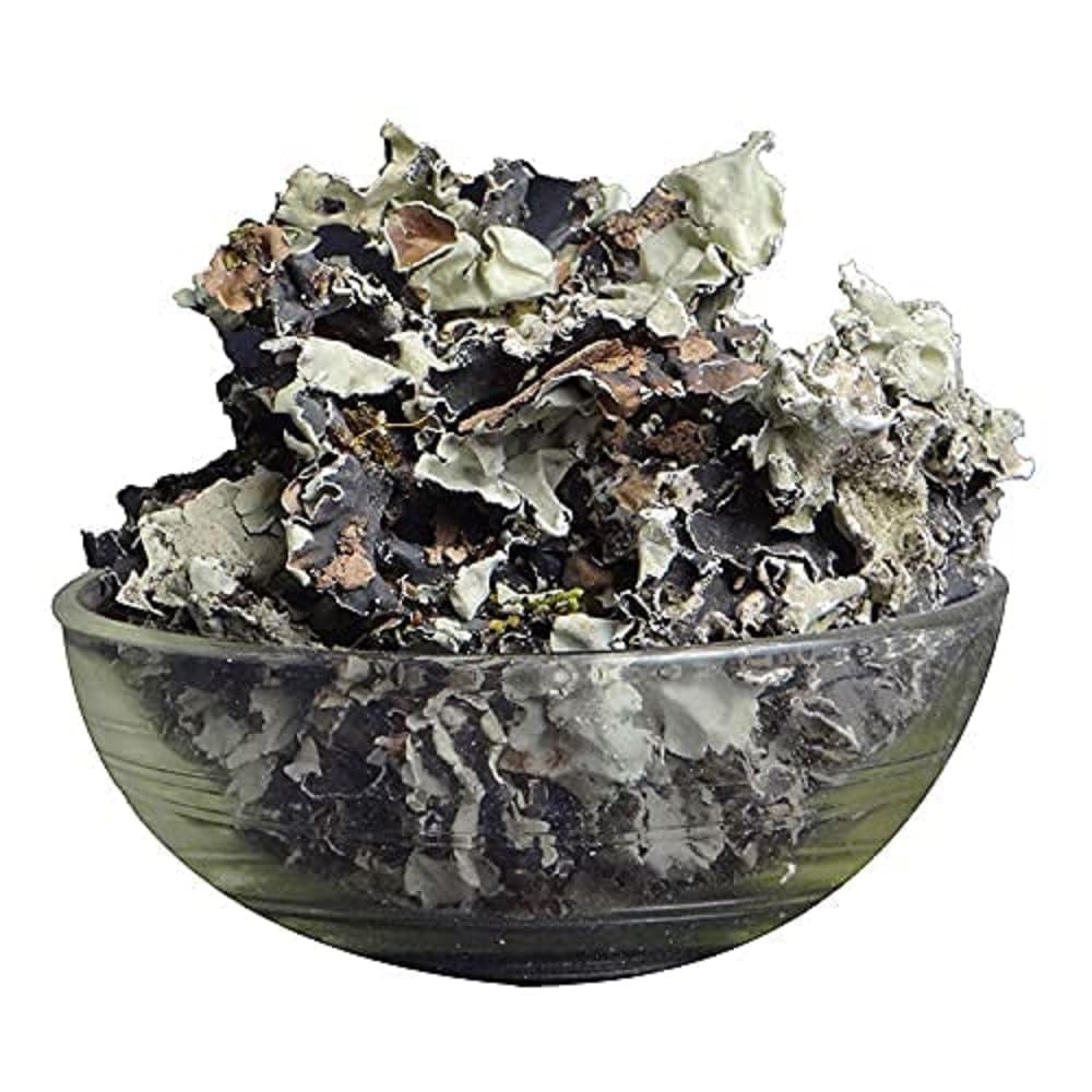 See full amazon price history chart for Organic Charitra Stone Flower Spice (Dagad Phool, Kalpasi, Patthar Ke Phool) - 100 Grams Organic Charitra Stone Flower Spice (Dagad Phool, Kalpasi, Patthar Ke Phool) - 100 Grams (B0B3NBY5VL) Amazon Price History, Amazon Price Tracker