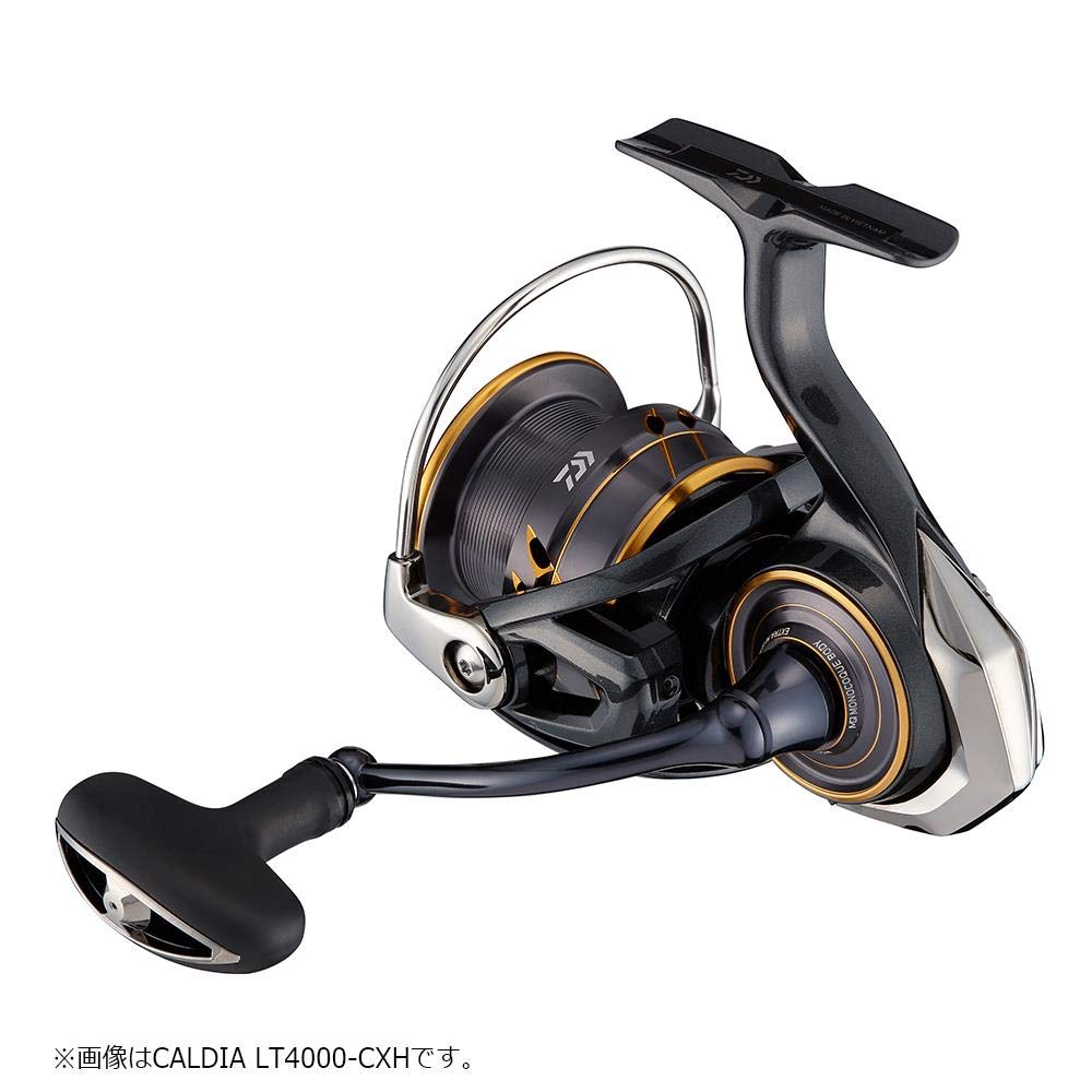 21CALDIA LT4000S-C カルディア Daiwa LT4000S-C 21 Caldia : Amazon.ca: Sports & Outdoors