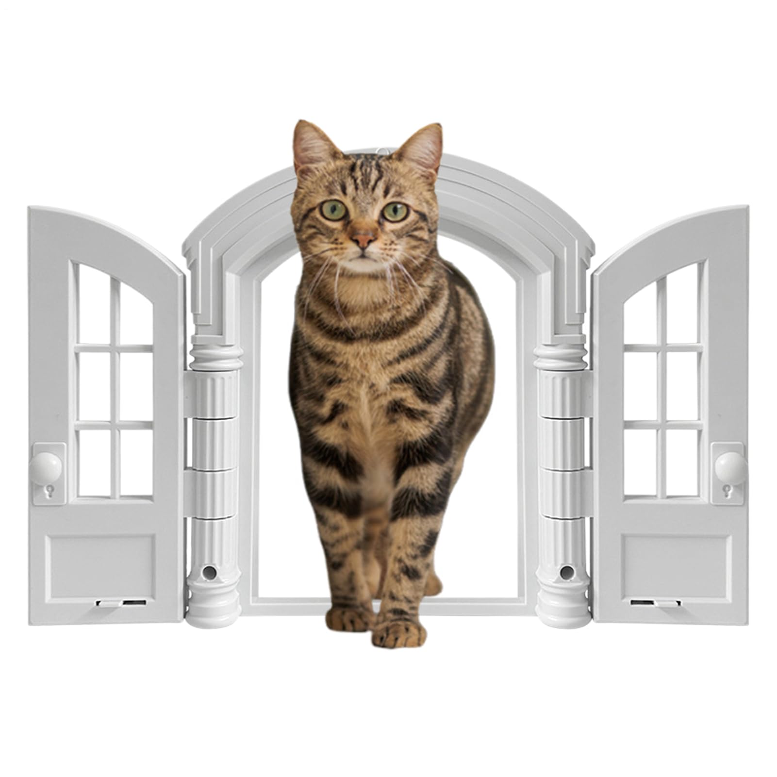 Chatières pour chats Entrée anti-évasion pour chiots et chatons