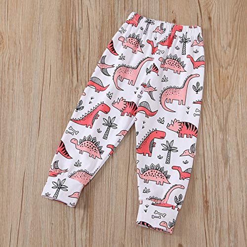 Modntoga Toddler Baby Girls Clothes Long Sleeve Hoodie Dinosaur Tops Long Pants Sweatsuit Outfit Set (Pink-A, 4 Years) #TOP4