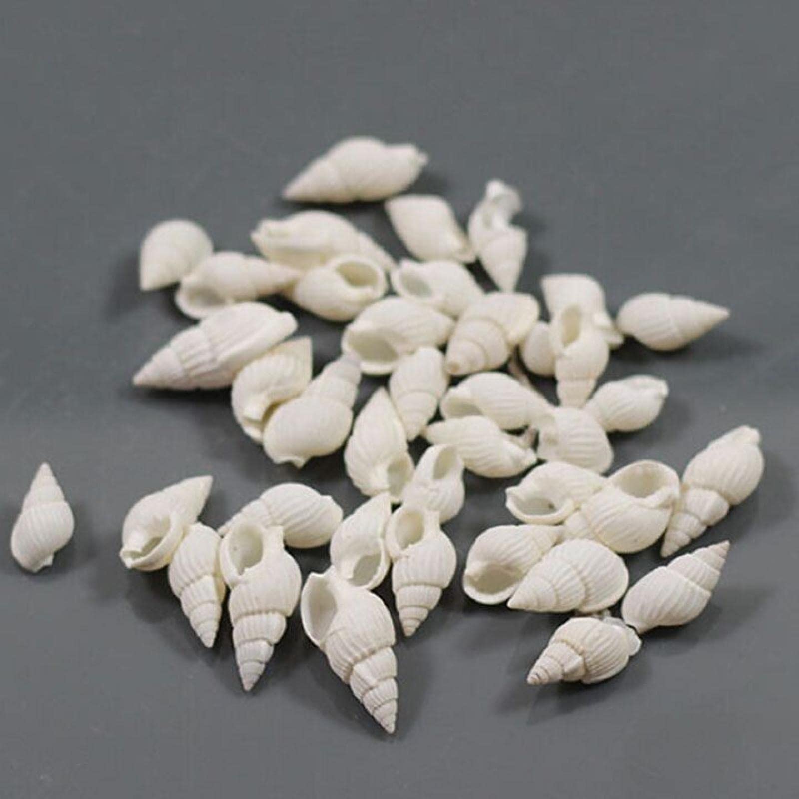 Coquillages de mer blancs en spirale x30 pour création de bijoux et décors DIY