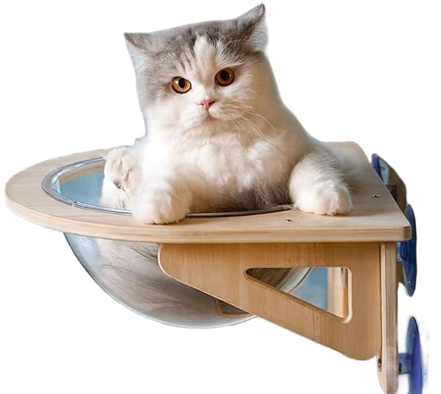 猫ベッド　ガラス猫ベッド　ボウル　ハンドメイド品 Amazon.co.jp: 猫 ハウス キャットウォーク 猫ベッド 猫