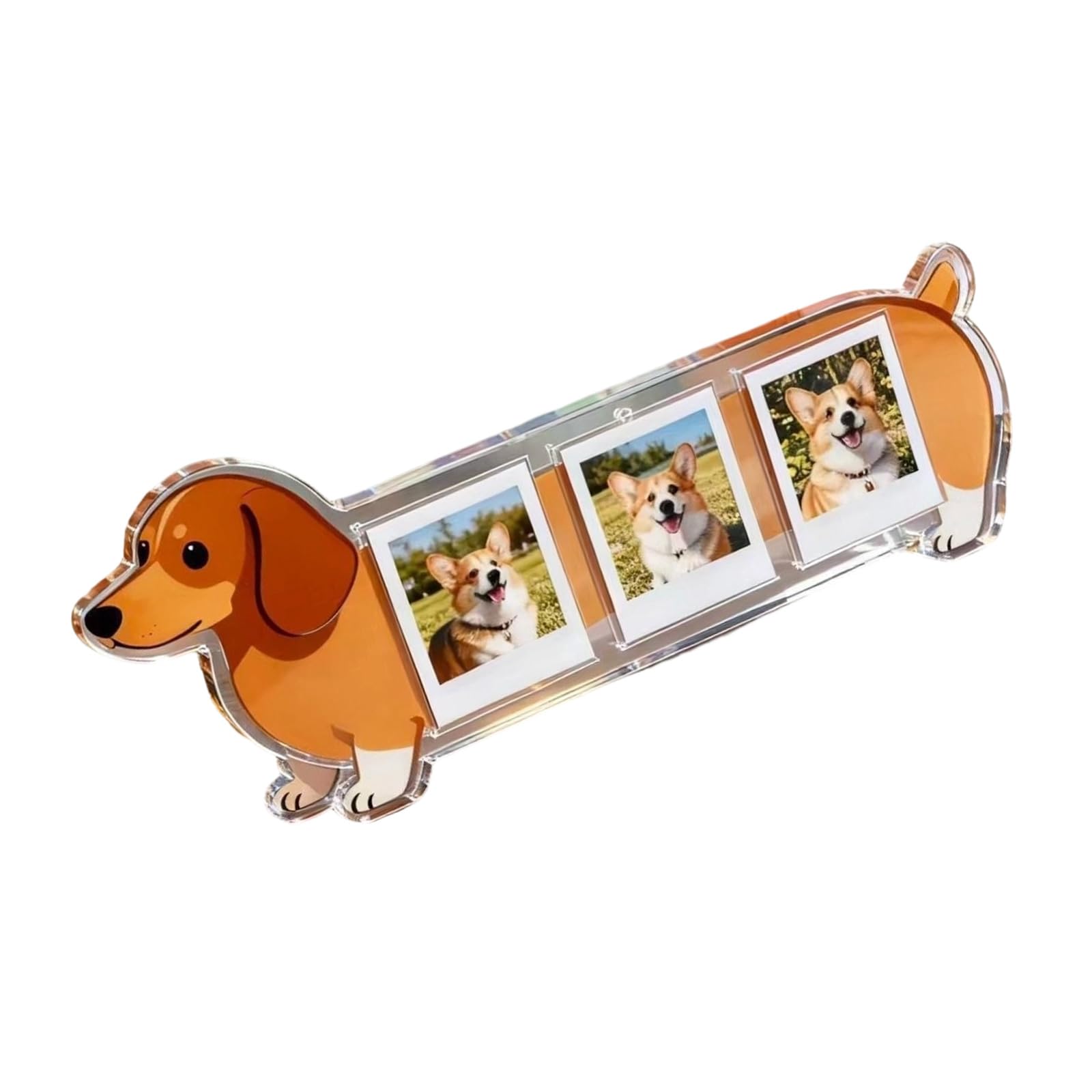 Qusinfc 3-Compartment Shatterproof Photo Display Stand Clear Acrylic for Dog Pictures Acrylic Dog Photo Frame